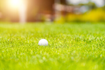 Golf ball on the green grass on a golf course on sunny day