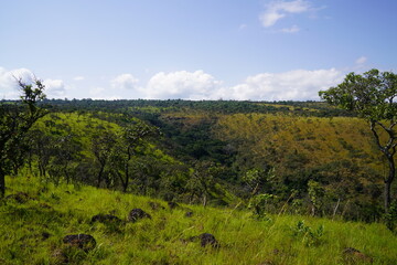Obraz premium landscape with trees