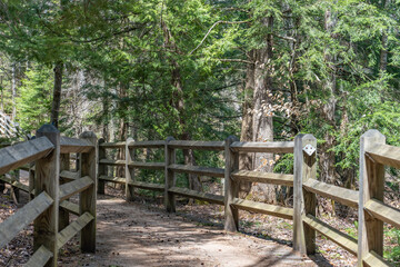 A wooden fence lined walking trail through the forest to the lower Tahquamenon falls in the Upper Peninsula of Michigan. 