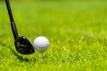 Golf ball and golf club on green grass on golf course
