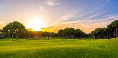 Scenic panoramic view of Golf course at sunset with beautiful sky. Golf fairway with pines - obrazy, fototapety, plakaty