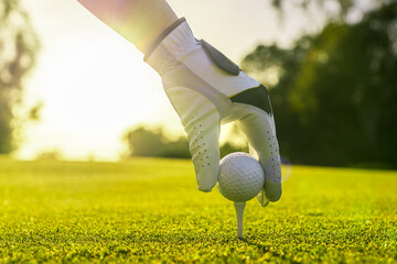 Closeup of golfer wearing glove placing golf ball on a tee at golf course - Powered by Adobe