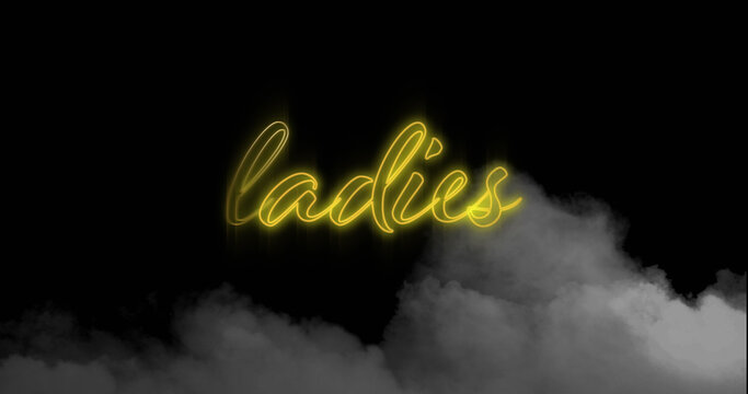 Digital image of neon yellow ladies text sign over smoke effect against black background