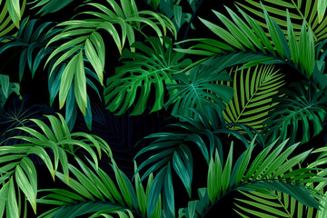 Seamless hand drawn tropical vector pattern with monstera palm leaves on dark background. - obrazy, fototapety, plakaty