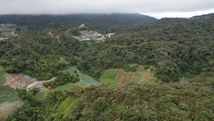Fototapeta premium General Landscape View of the Brinchang District Within the Cameron Highlands Area of Malaysia