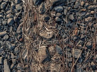 rocks on the shore