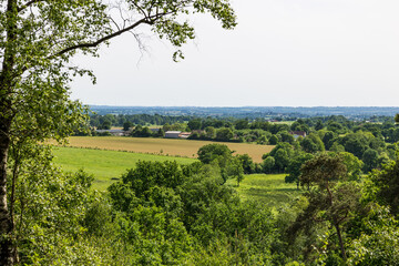 Bocage normand en lisière de la Forêt d'Andaine et des Gorges du Villiers © Ldgfr Photos
