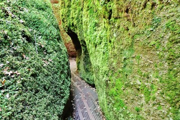 Drachenschlucht bei Eisenach, Thüringer Wald