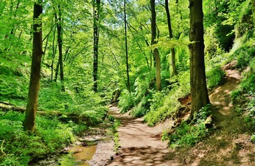 Drachenschlucht bei Eisenach, Thüringer Wald