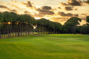 Golf course at sunset with beautiful dramatic sky. Scenic panoramic view of golf fairway. Beautiful...