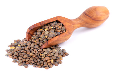 French lentils in olive spoon, isolated on white background. Dry puy lentil grains pile.