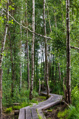 Obraz premium Chemin de randonnée en sous-bois au sein du Marais du Grand Hazé à Briouze