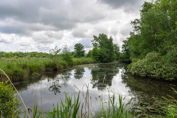 Obraz premium Paysage naturel du Marais du Grand Hazé à Briouze au printemps par une temps ensoleillé