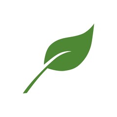 Eco leaf on a white background. Vector illustration