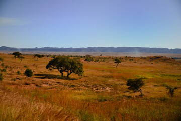 Obraz premium Hakuna Matata !