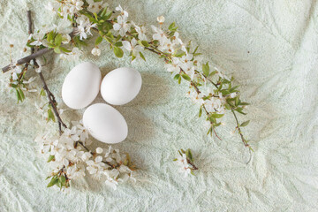 Three white eggs on light green fabric surrounded by branch of bird cherry with white blossom flowers. Flat lay.