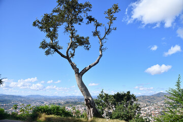 Au point de vue