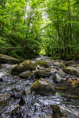 Rivi&egrave;re de la Cance &agrave; Mortain par une journ&eacute;e ensoleill&eacute;e de printemps