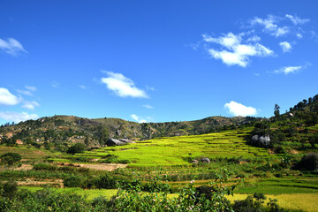 Fototapeta premium Paysage de rêve