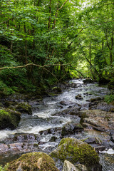 Rivière de la Cance à Mortain par une journée ensoleillée de printemps