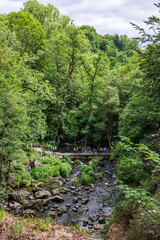 Vue sur la Cance depuis le haut de la Grande Cascade de Mortain