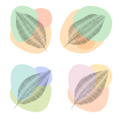 A set of stylized leaves on colored spots. Leaves drawn with lines. Vector illustration