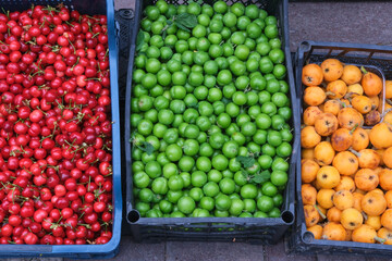Selective Focus May Fruits in Turkey. Red Cherry, Green Plum And Yellow Loquats with Plastic Boxes on Ground 