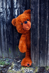 brown teddy bear lurking behind a rustic wooden barn door