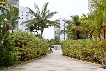 Tropical garden in residential buildings  with lots of green overlooking the neighboring buildings,...