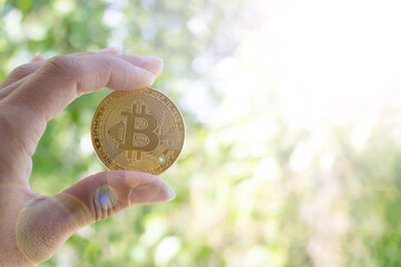 Fototapeta na wymiar Bitcoin in hand on background of greenery in sunlight