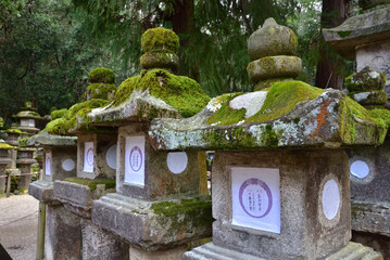 春日大社参道の石燈籠