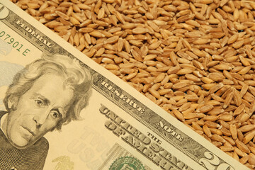 grain of wheat and dollars on the table, close-up, harvest during the war and crisis. import and...
