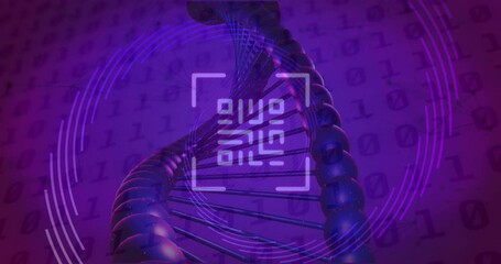 Animation of qr code, binary coding, data processing over dna strand spinning - Powered by Adobe