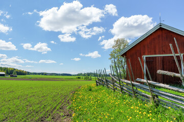 Fototapeta na wymiar Rural landscape on a beautiful spring day in Rusko, Finland. A traditional Finnish roundpole fence runs around the old red barn.