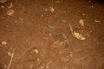 footprint in the sand