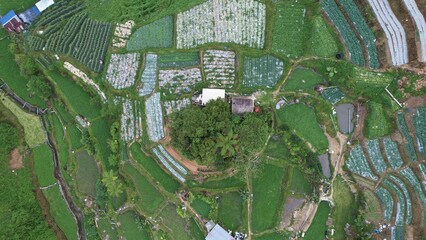 General Landscape View of the Brinchang District Within the Cameron Highlands Area of Malaysia