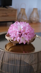 Pink lily flowers