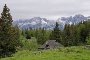 View of traditional Shepard cottage in the valley and the Alps in the background, Velika Planina, Slovenia