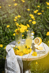 Lemonade pitcher with lemon, mint and ice on garden table