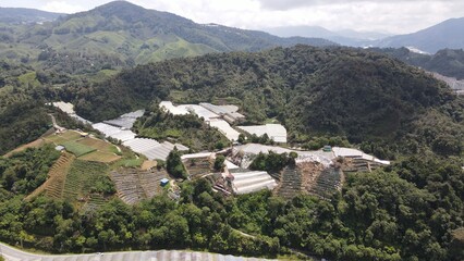 General Landscape View of the Brinchang District Within the Cameron Highlands Area of Malaysia