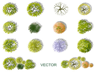 Vector watercolor of blooming tree top view isolated on white background for landscape plan and architecture drawing, elements for environment and garden,botanical elements