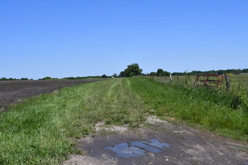 Fototapeta na wymiar Road in a Farm Field