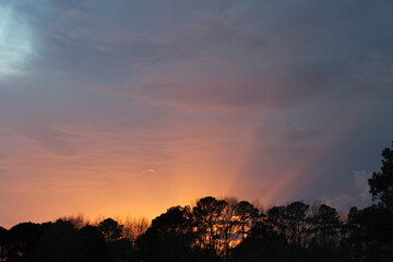 Fototapeta premium sunset and pink sunrays