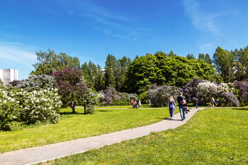 Citizens walk in the Lilac garden on a summer day. Moscow, Russia