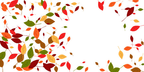 Leaves. Yellow, red, green, orange, brown colors. Scattered autumn leaves. Unusual abstract texture. Vector eps 10.