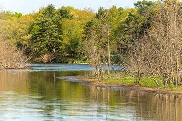 A unspoiled freshwater river flowing through natural wooded area.