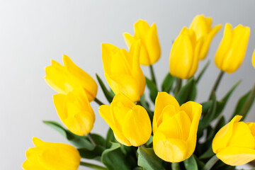 Beautiful spring bouquet of yellow tulips, festive bouquet for birthday or holiday