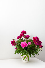Peonies in a white vase against a white wall, part of a home interior, house decoration with flowers, cozy summer background