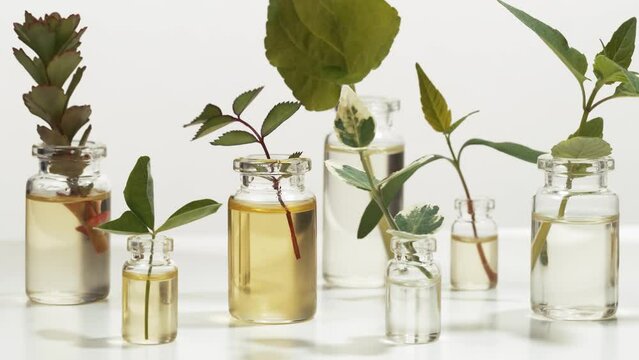 Bottles with essential oils and herbs