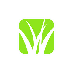 Grass Logo Design 